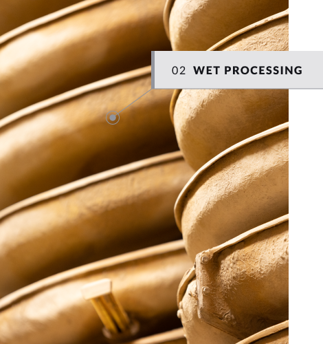 Wet Processing